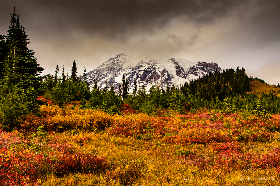 Fall colors and Mount Rainier From the Paradise Visitor Center
