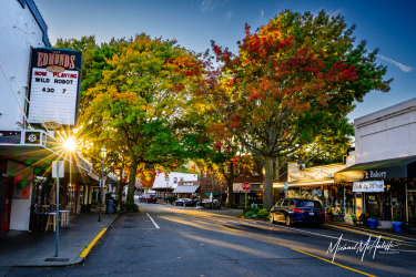 Edmonds Main Street Fall Colors Edmonds Main Street Fall Colors