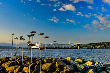 Edmonds Ferry and Fish Sculpture