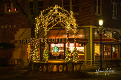 Edmonds Holiday Lights and Fountain