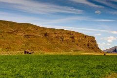 Moses Coulee