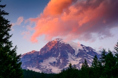 Mount Rainier Sunset from Longmire