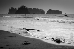 Rialto Beach