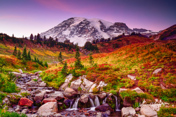 Mount Rainier and Edith Creek at Sunset