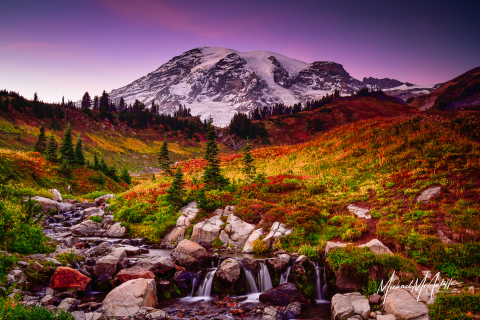 Mount Rainier and Edith Creek at Sunset
