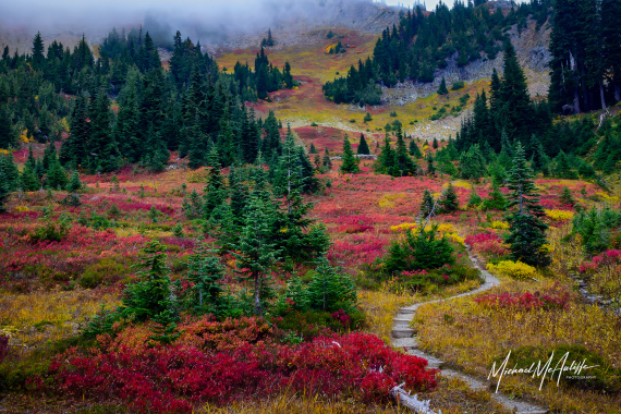 Tipsoo Lake Fall Colors