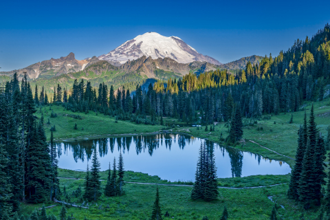 Mount Rainier & Tipsoo Lake Just After Sunrise