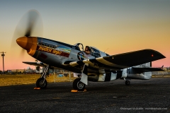 P-51 Mustang Impatient Virgin
