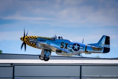 P-51 Mustang Upupa Epops