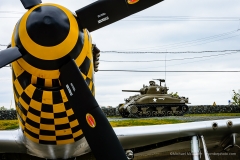 P-51 Mustang Upupa Epops