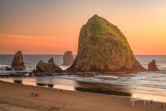 Haystack Rock Cannon Beach Sunset