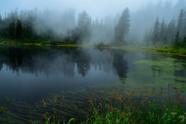 Foggy Picture Lake