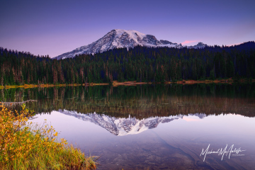 1_reflection-lake-mount-rainier-mcauliffe-imagely-0563 1_reflection-lake-mount-rainier-mcauliffe-imagely-0563