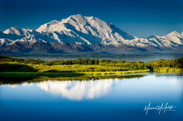 Early Morning Denali Mountain With Lake