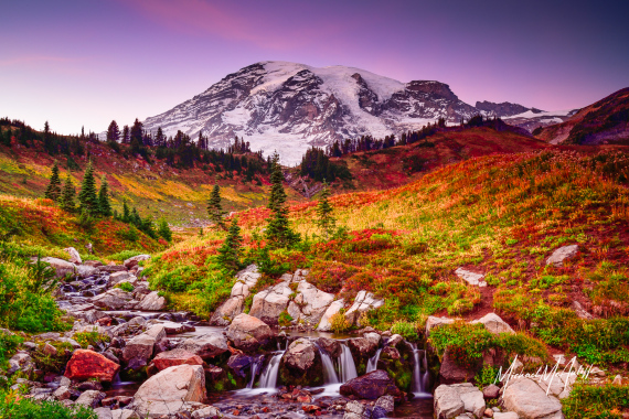 Mount Rainier and Edith Creek at Sunset
