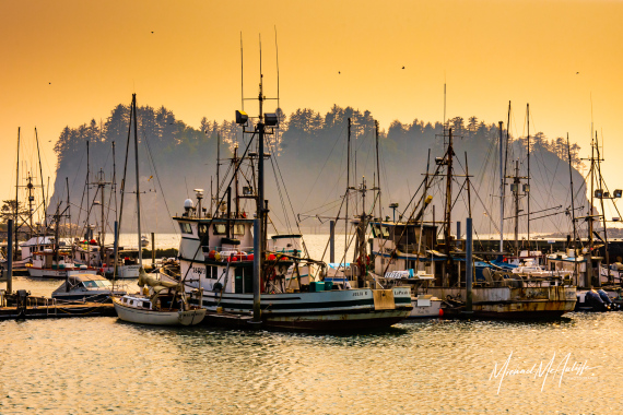 Smoky La Push Fishing Boats