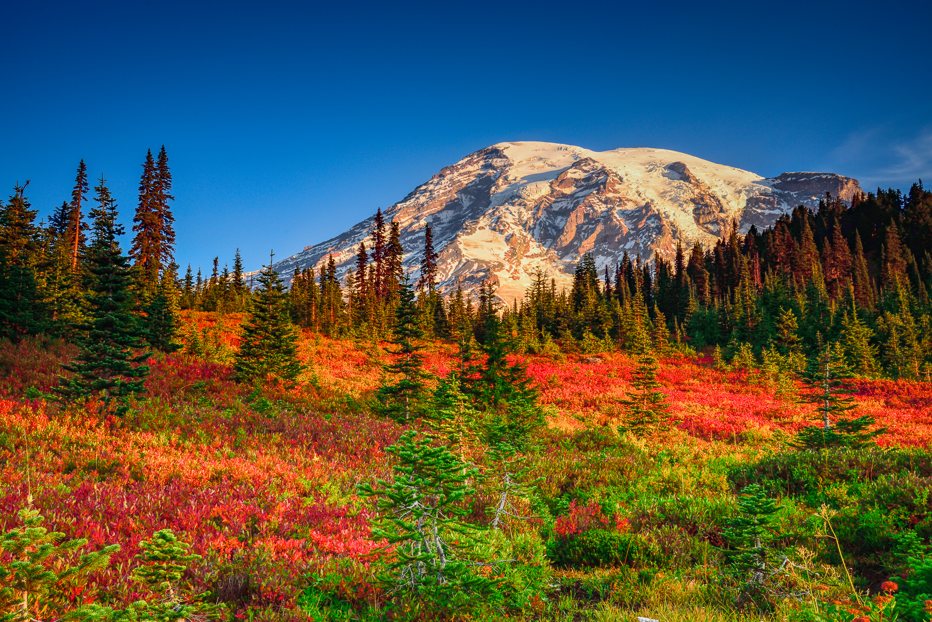 Mount Rainier and Fall Colors from Paradise