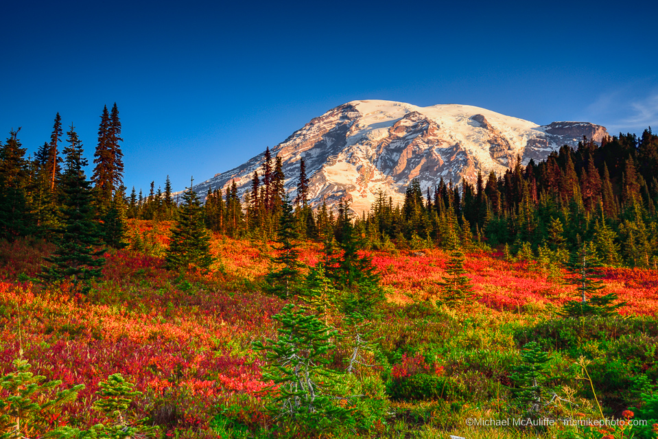 Fall Colors at Mount Rainier