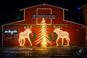 Merry Christmas and Happy New Year