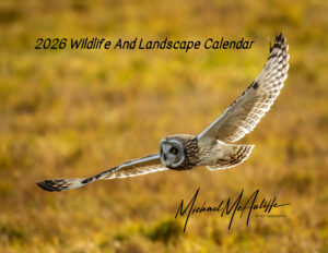 2026 Wildlife and Landscape Calendar